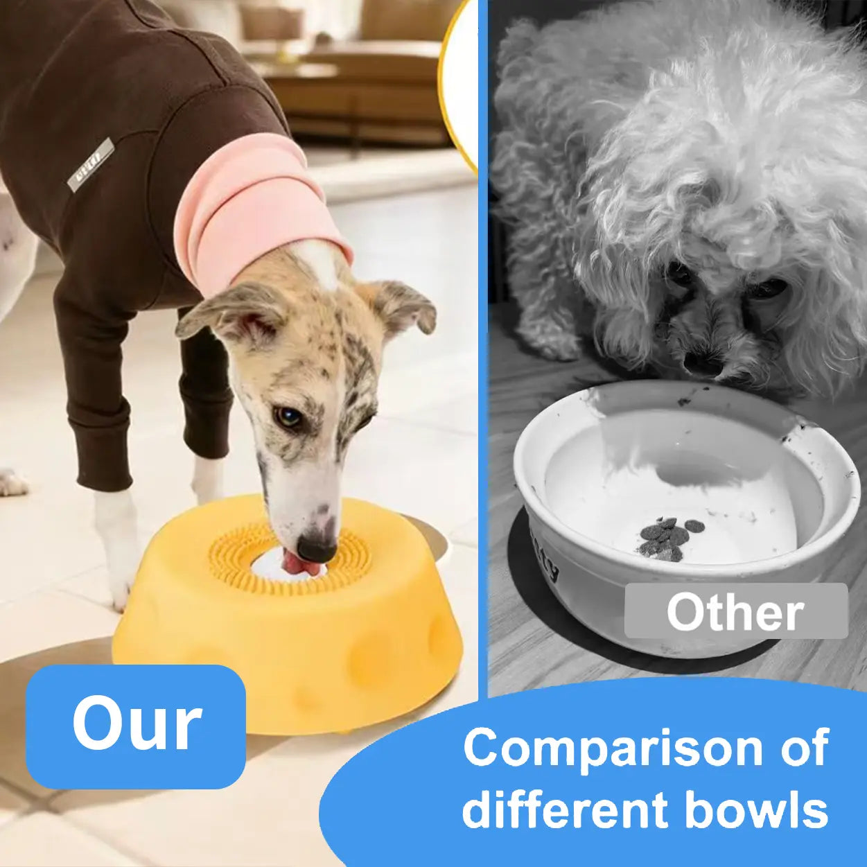 No-Mess Slow Feeder Bowl with Rolling Treat Ball